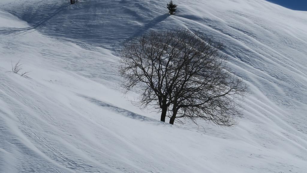 Randonnée à ski à Vaugel