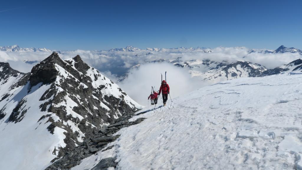 l'arête sommitale