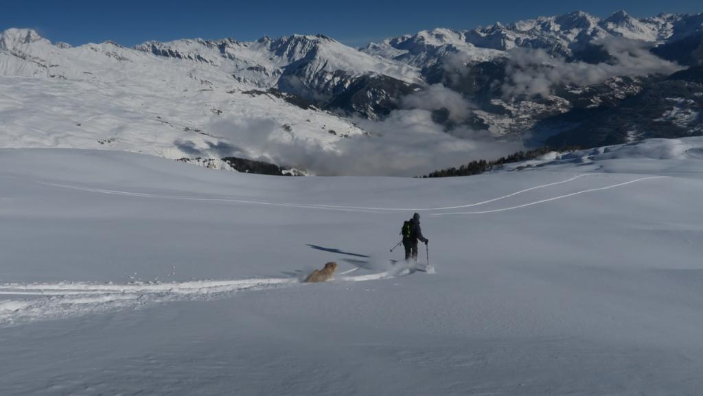 La descente