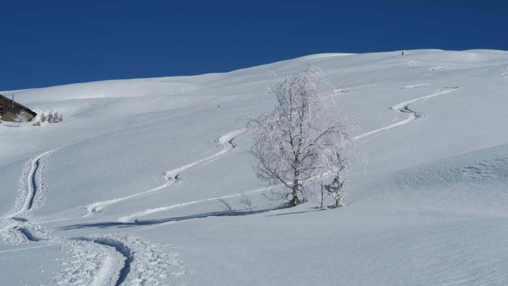 En montant au Dôme de Vaugel