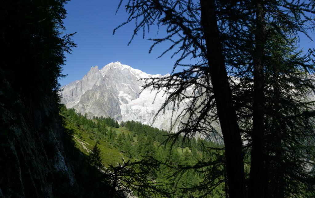 Vue sur le mont Blanc