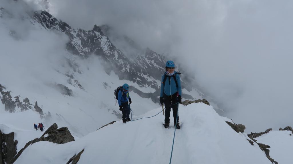 Aiguilles Marbrées
