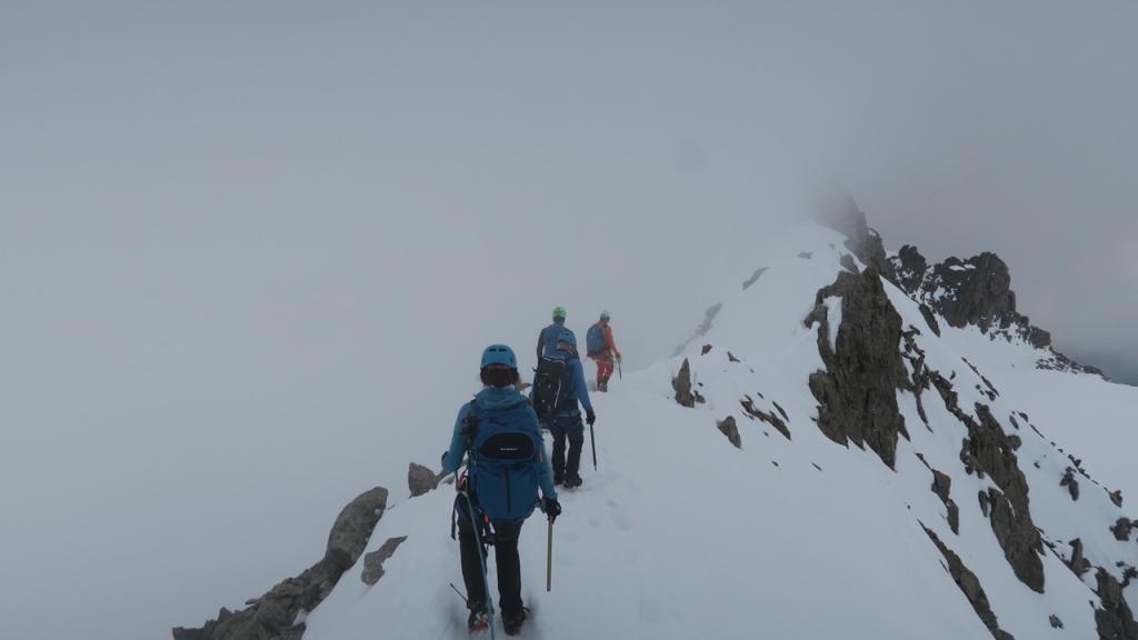 Aiguilles Marbrées