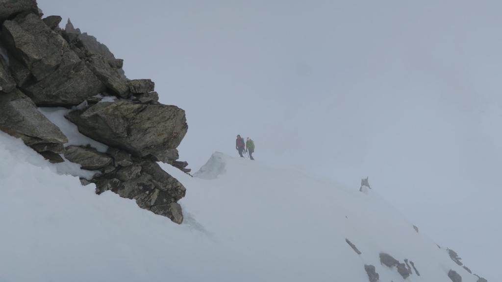 Aiguilles Marbrées