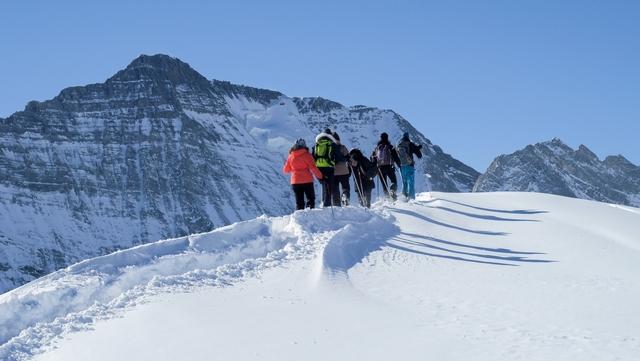 Randonnée en Raquettes - les Arcs Peisey - Vallandry